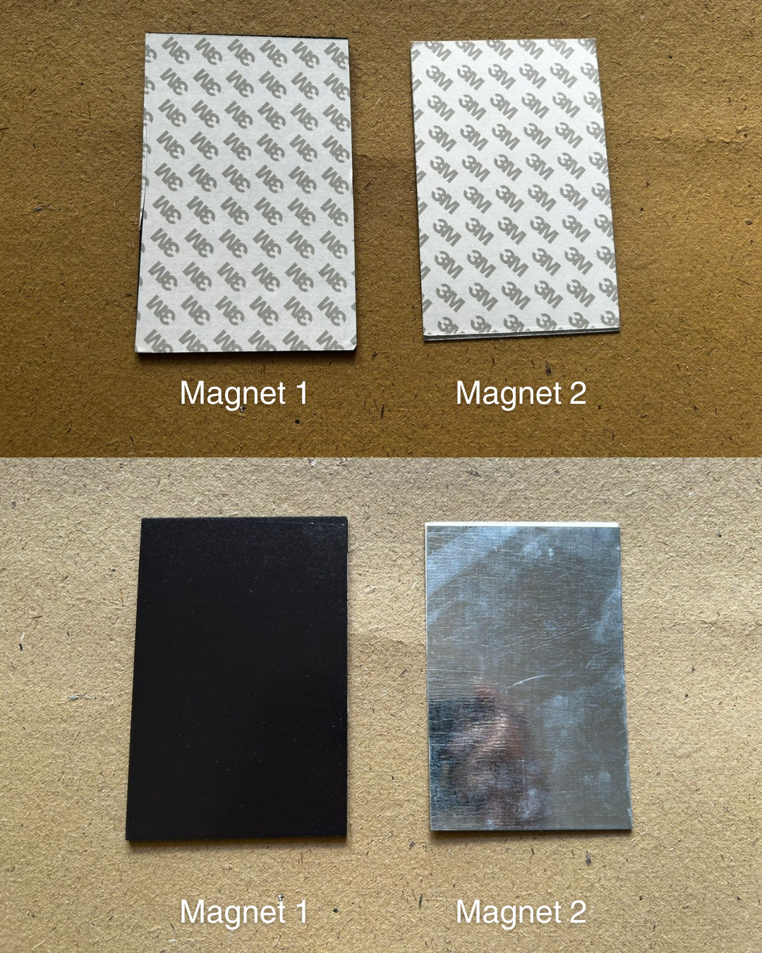 Metal poster Jim Corbette National park