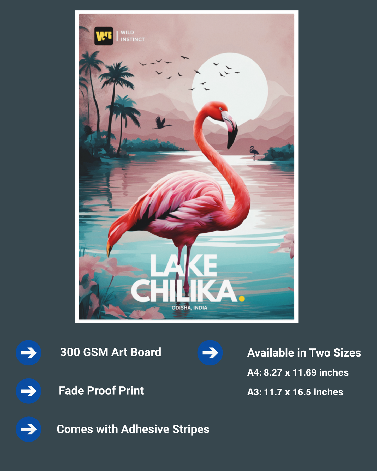 Poster Chilika Lake