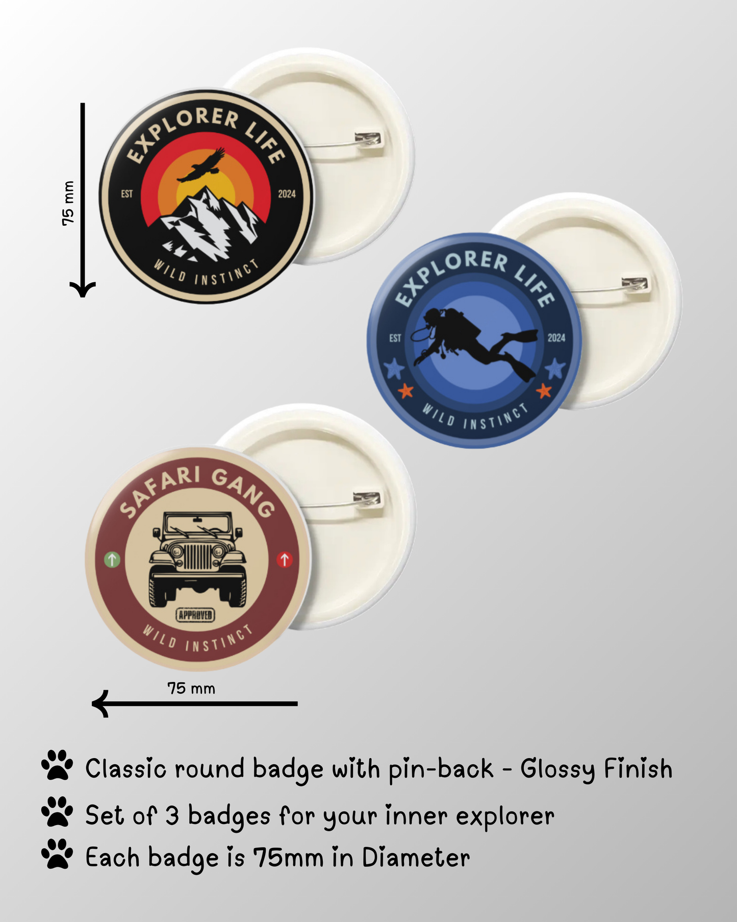 Explorer Collection – 3 Badge Set